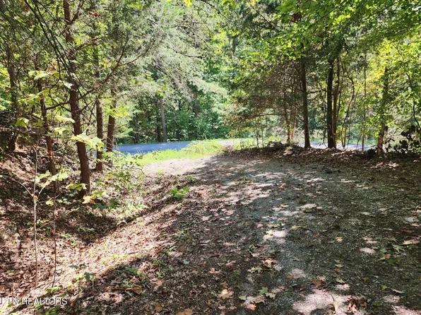 Timber Ridge Rd, Sharps Chapel, TN 37866