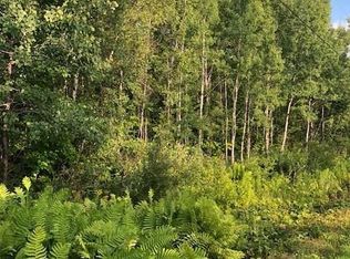 0 Palmer Rd, Newport, ME 04953