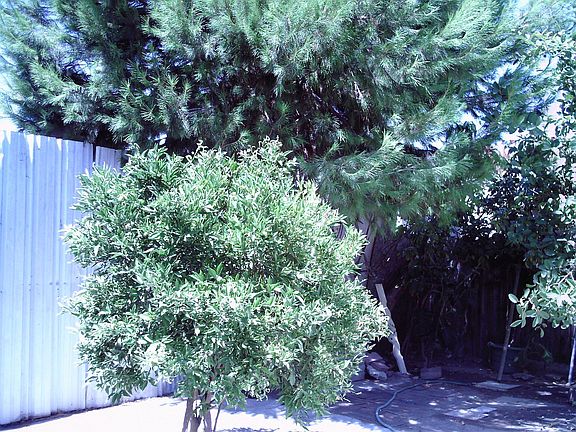 3rd image of 2519 E 109th St