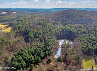 0 Riders Mills Rd, Brainard, NY 12024