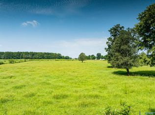 19.5 Thach Rd, Athens, AL 35613