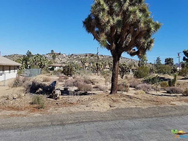 2nd image of 8001 Aster Ave