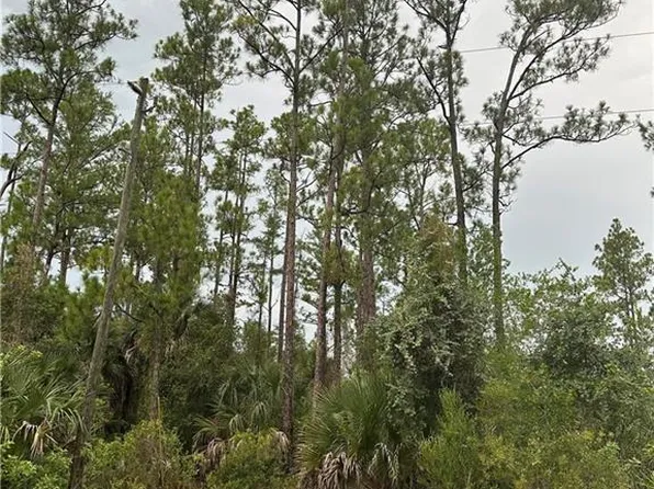 373/375 Greenbriar BLVD, LEHIGH ACRES, FL 33972