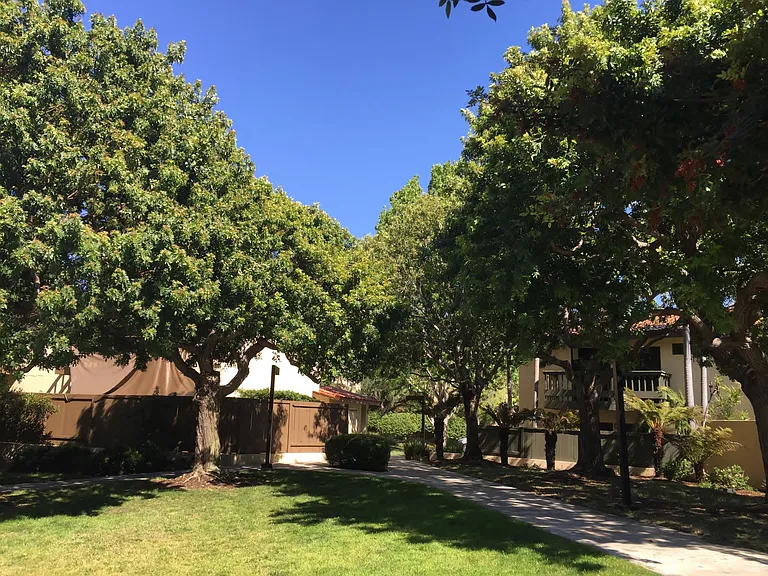 6992 Camino Amero — Photo 40