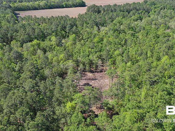 2nd image of 3 Brookwood Dr