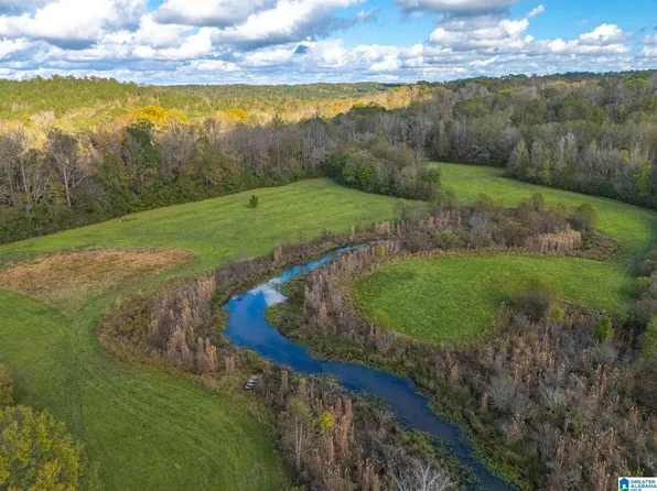 0 Brownsville Loop Tract 2, Goodwater, AL 35072