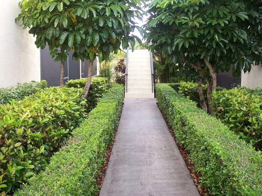 2 bed, 2.0 bath, 1072 sqft, $3,500 — Photo 3
