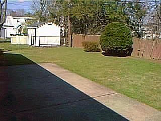 Yard