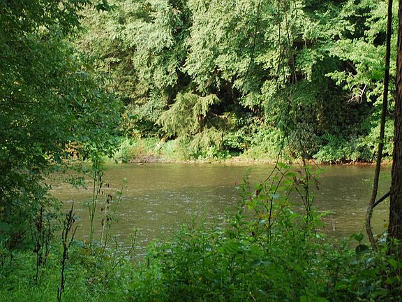 3rd image of 254 Creek Dr