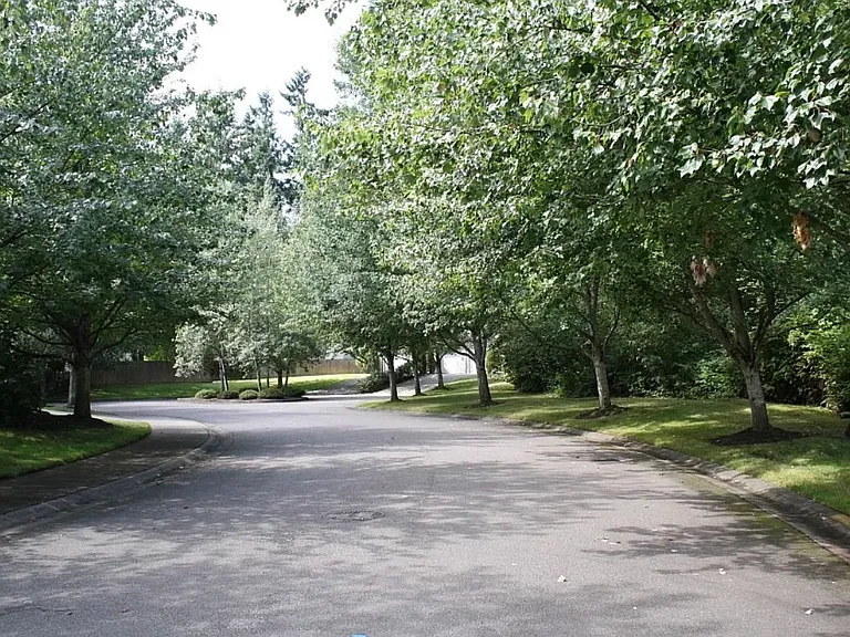 11502 SE 221st Pl — Photo 3