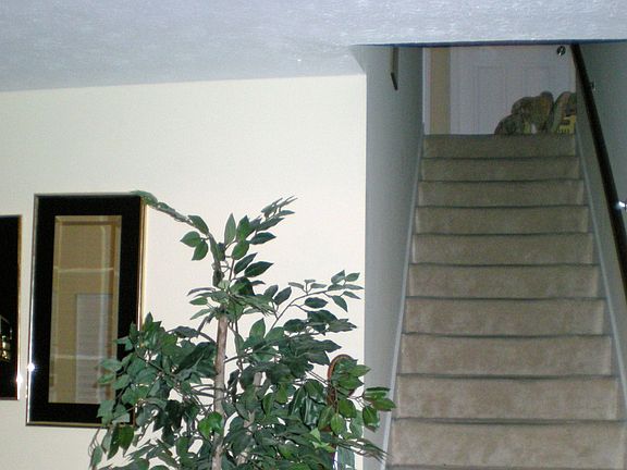 Actual Unit