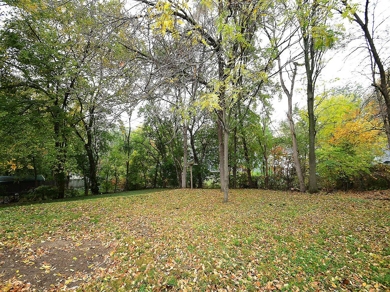 4 bed, 1537 sqft, $1,650 — Photo 2