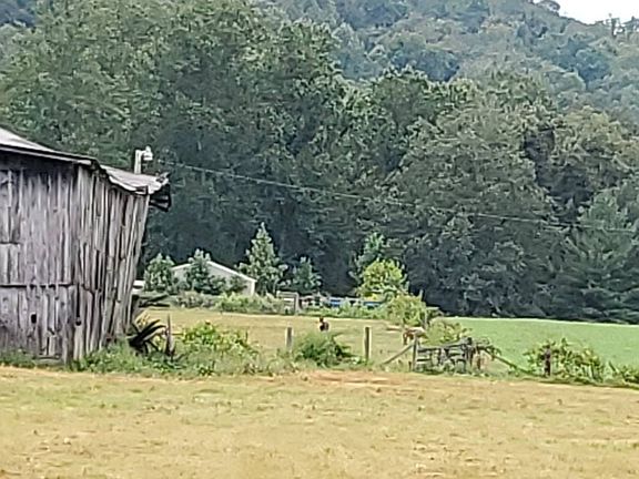 3rd image of 4679 Rocky Point Rd