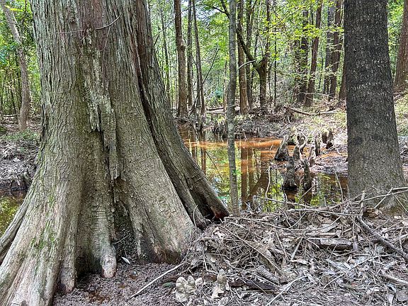 2nd image of 0 County Line Rd