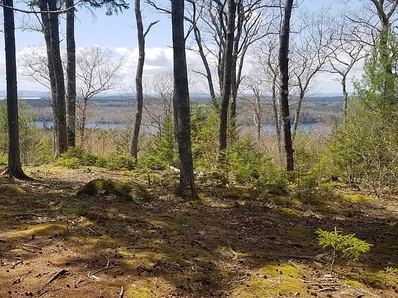 2nd image of Lot 2 Acadian Oak Lane
