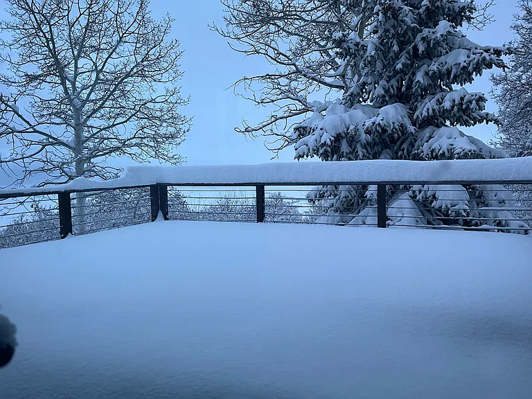 Blue Grouse Ln — Photo 19