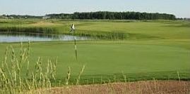 2nd image of 527 Royal Saint Pats Dr