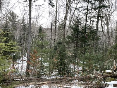 LOT# Trafton Road LOT#, Harmony, ME, 04942