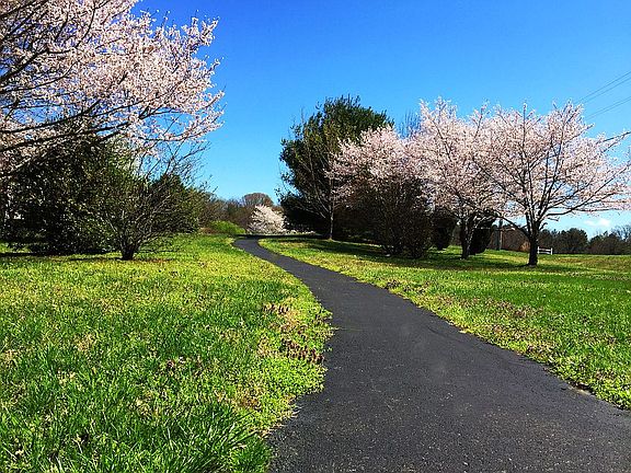 Community Jogging trail