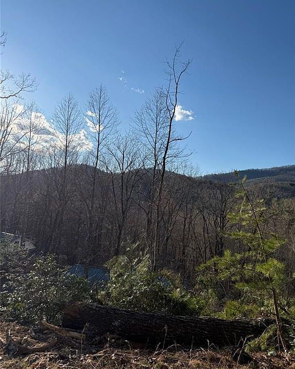 1st image of LOT 6D Meadow View Ln #123