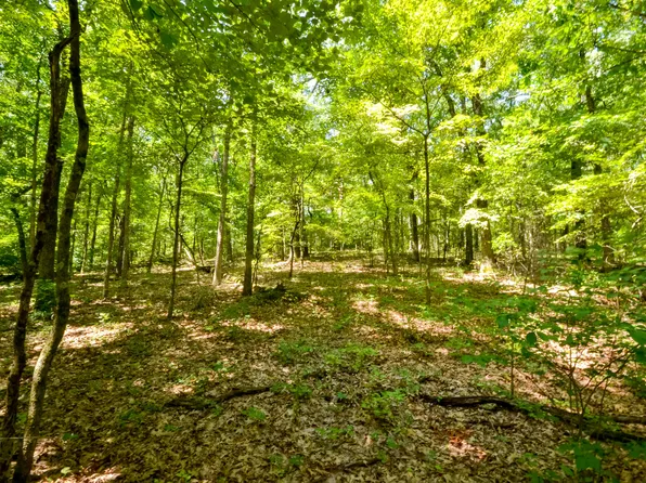 0000 Wood Thrush Lane, Ozark, MO 65721