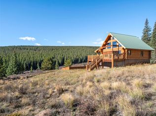 1204 Zebulon Street, Fairplay, CO 80440