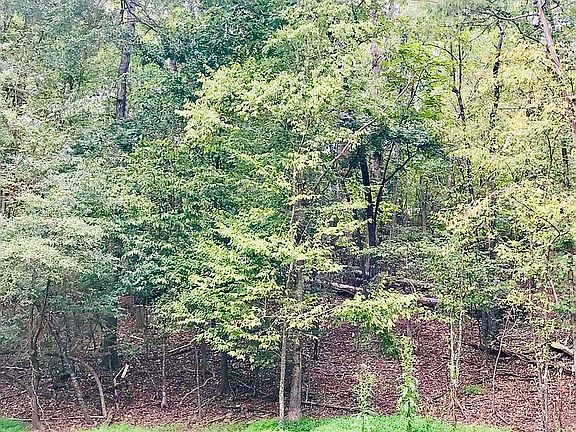 3rd image of 8139 Cliffside Dr