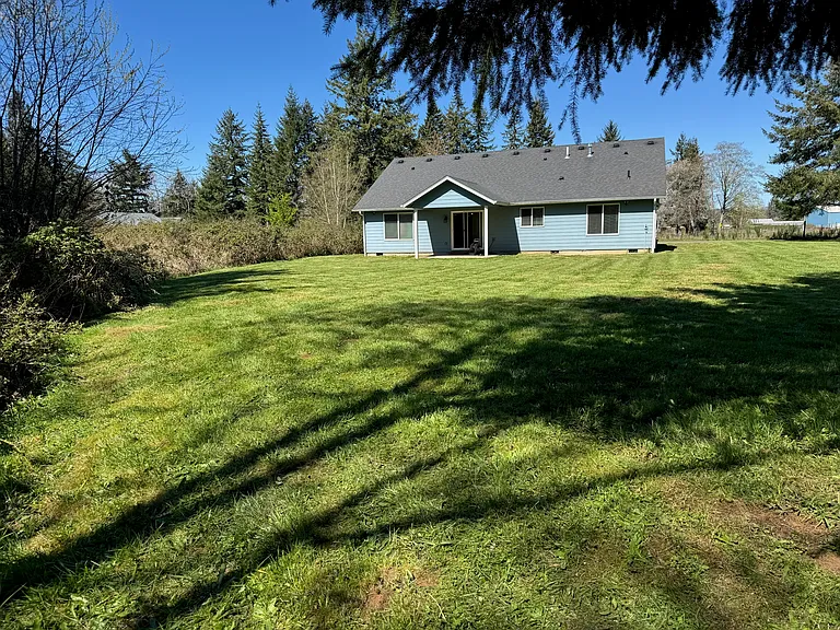 back yard