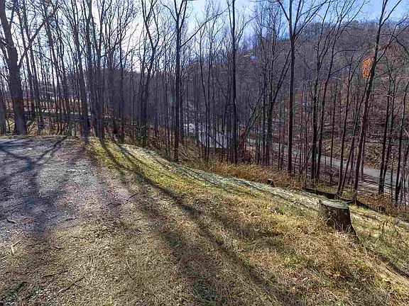 5th image of 605 Pinecrest Dr