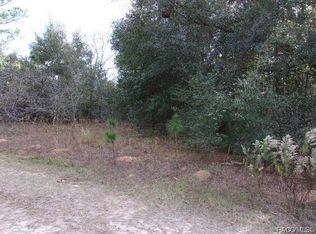 2009 Lorena St, Inverness, FL 34453