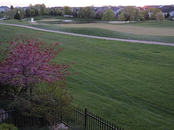 View from the Deck