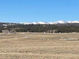 262 Grand Teton Drive, Hartsel, CO 80449