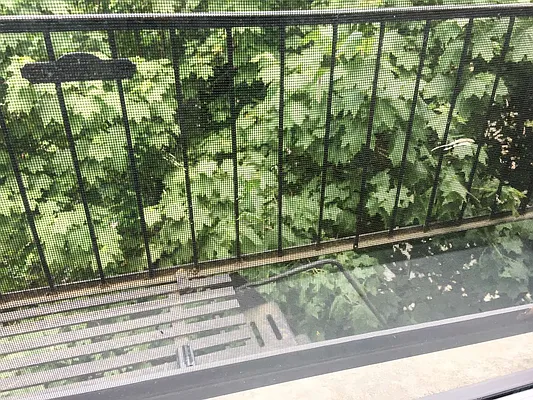 Rented by Lofts and Flats LLC | media 16