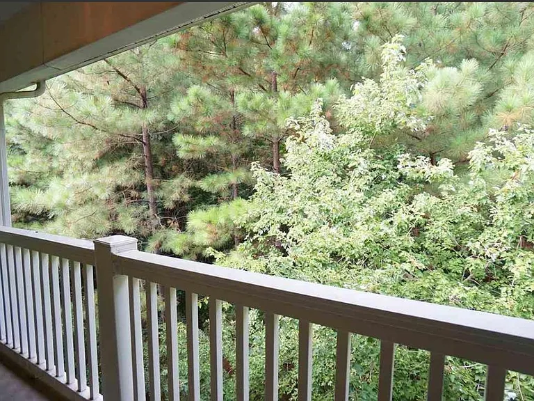2800 Trailwood Pines Ln — Photo 4