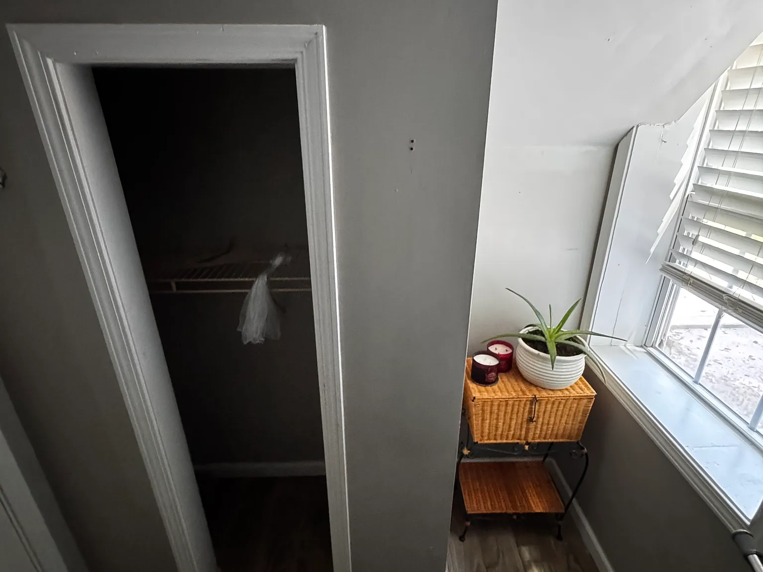 2 bed, 900 sqft, $1,500 — Photo 4