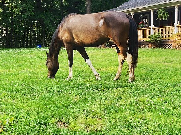 Front view in the summer time.