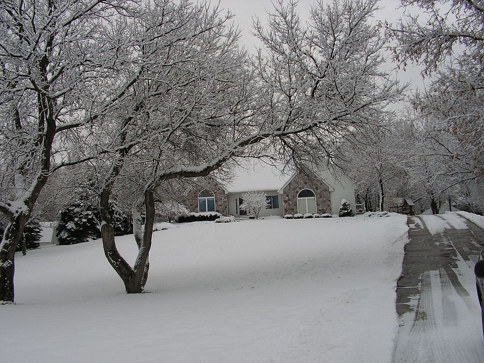 Snowy Day