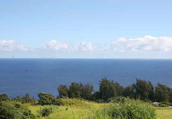 3rd image of 32-899 Old Mamalahoa Hwy Lot 1-E
