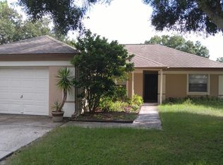11345 Blackbark Dr, Riverview, FL 33579