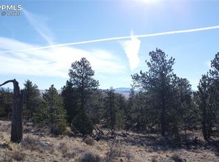 52 Bit Way, Hartsel, CO 80449