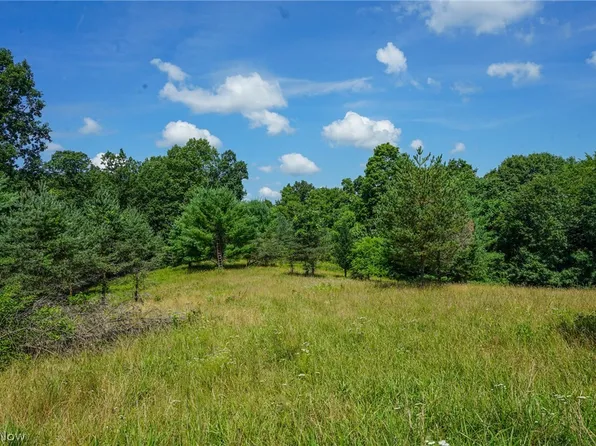 235 Butterbean Ridge Rd, Philo, OH 43771