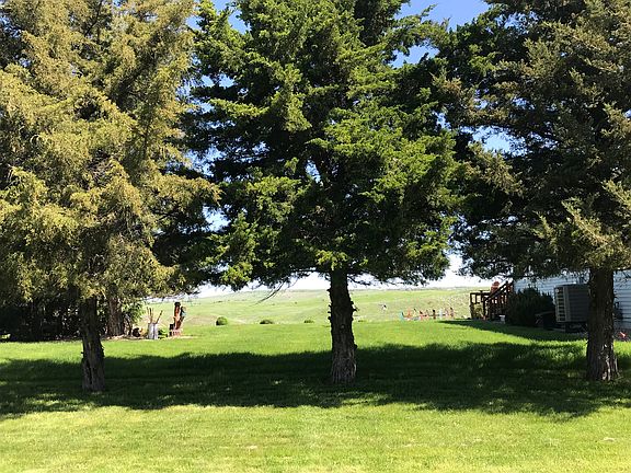 Lot line just behind trees