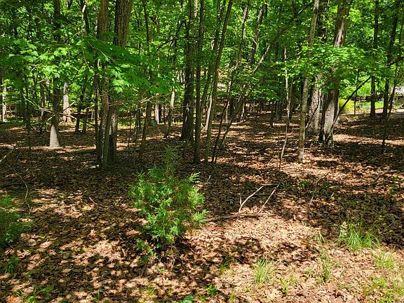 3rd image of 3 Fairway Dr
