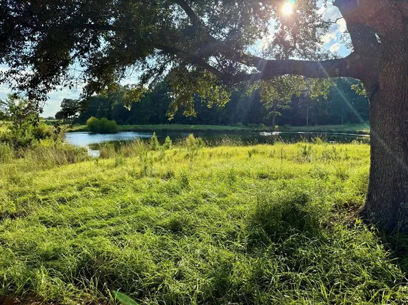 LOT 278 Lakeland Loop, Hillister, TX 77624