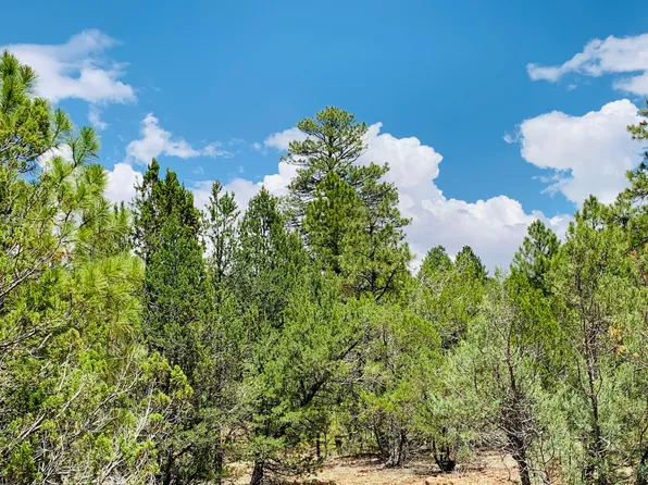 6373 Whispering Pine Dr, Happy Jack, AZ 86024
