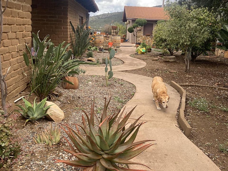 Fenced yard for your dogs protection and safety.