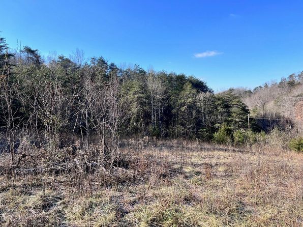 TRACT 2 Bundren Mountain Rd, Tazewell, TN 37879