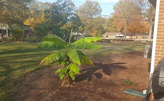 2nd image of E Iredell Ave