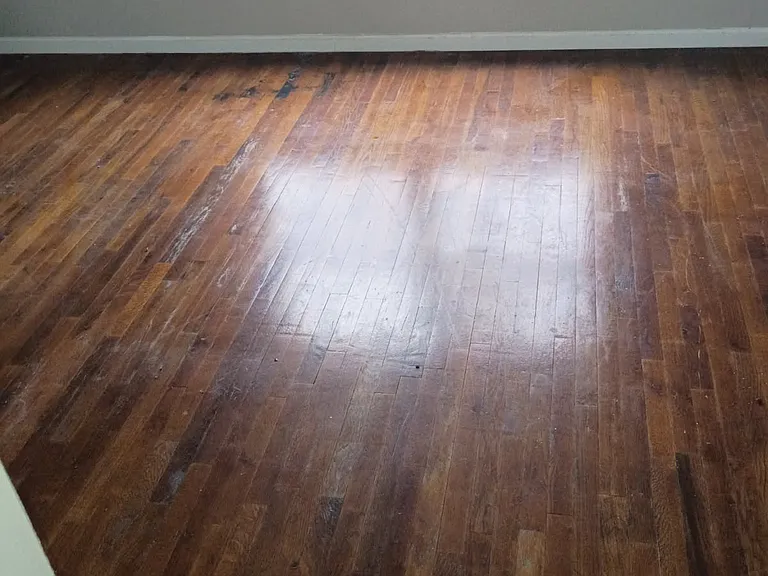 51 Sunset Ave #2 — Photo 3