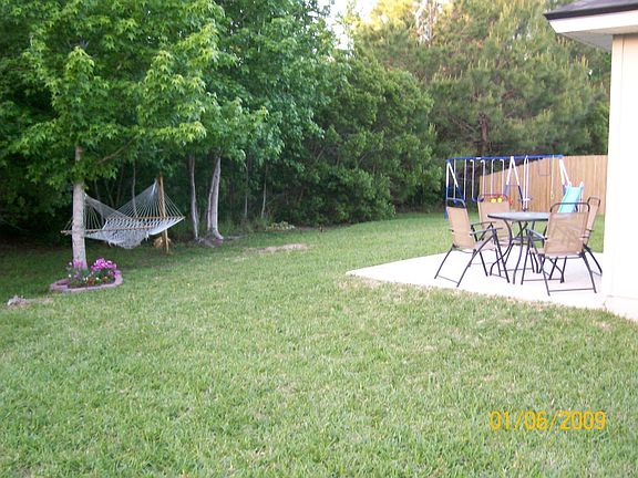 wooded backyard